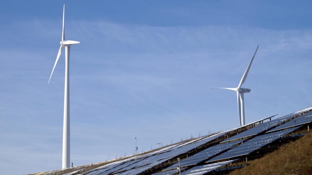 EPC certificate cost