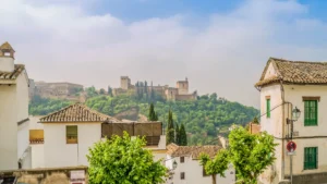 Understanding Your Energy Label: How to Improve Ratings